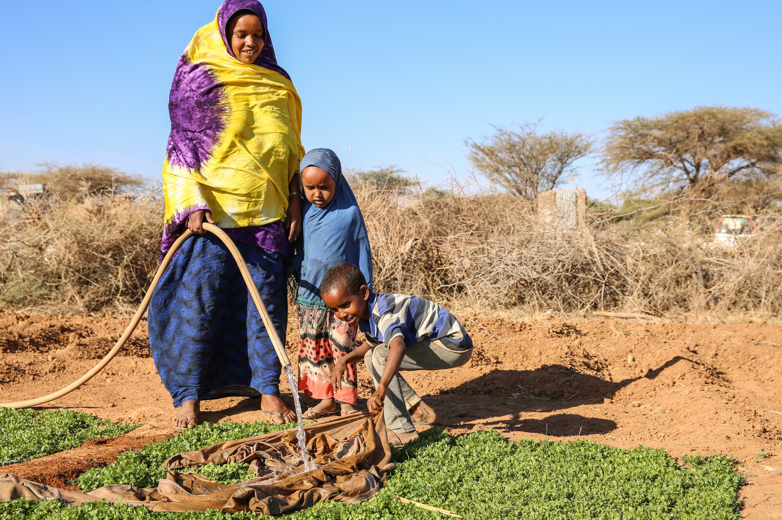 Engagement für Familien in Äthiopien und Südsudan, die mit den Folgen des Klimawandels leben müssen