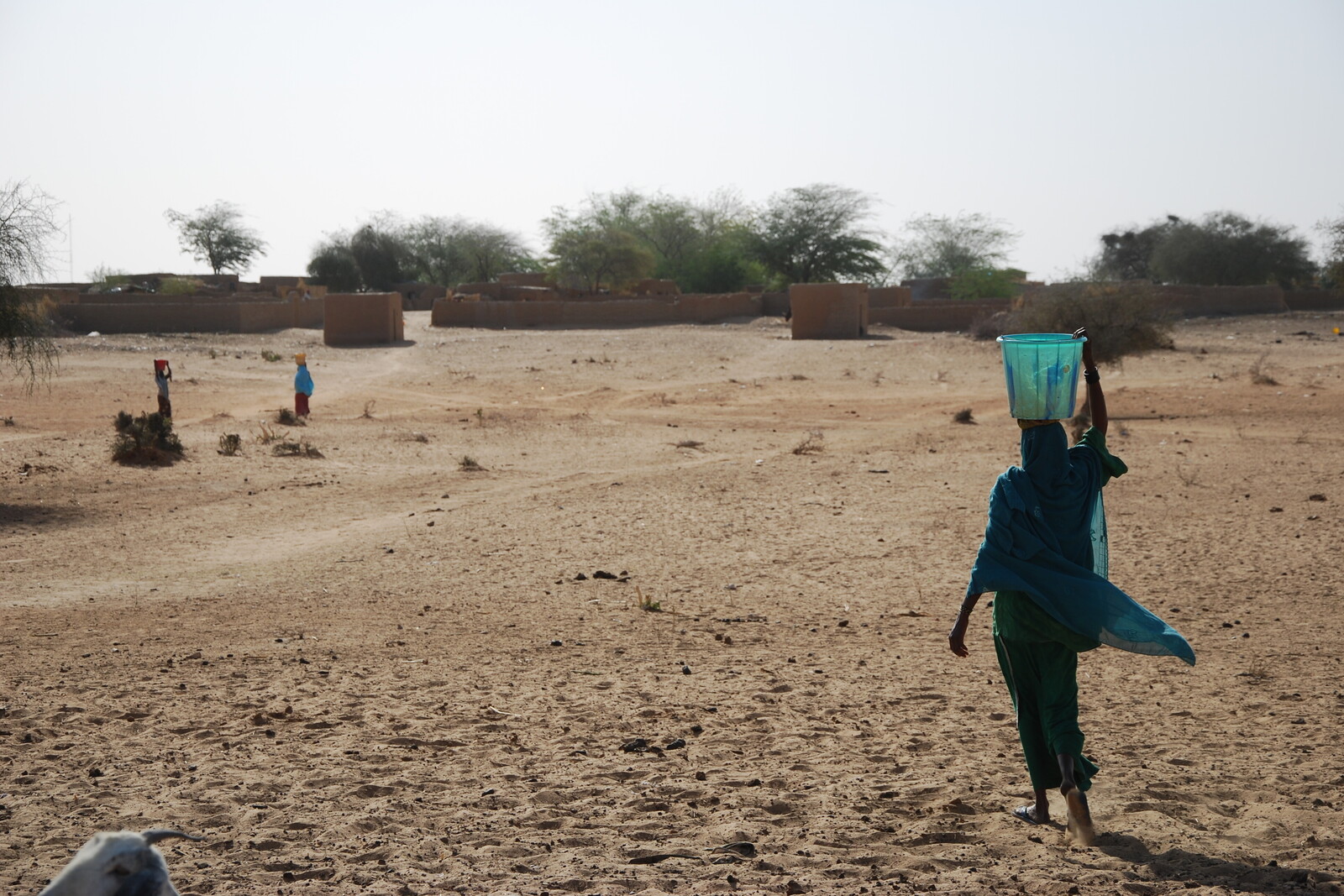 In der Sahelzone fällt oft jahrelang kein Regen. Eine Frau sucht Wasser in der Wüste.