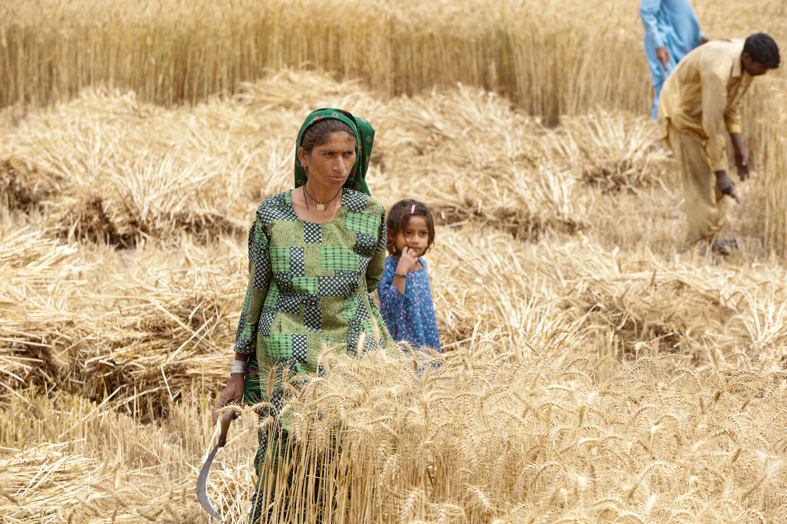 In Pakistan waren nach Überflutung und Erdbeben viele Felder zerstört. Eine Frau steht mit ihrem Mädchen in einem erntereifen Feld.