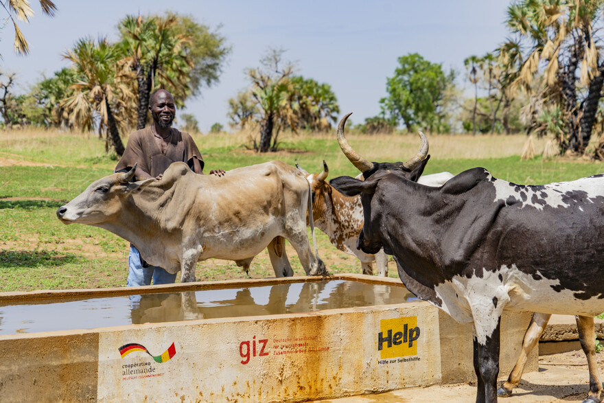 Hilfsprojekt für Landwirt:innen in Mali