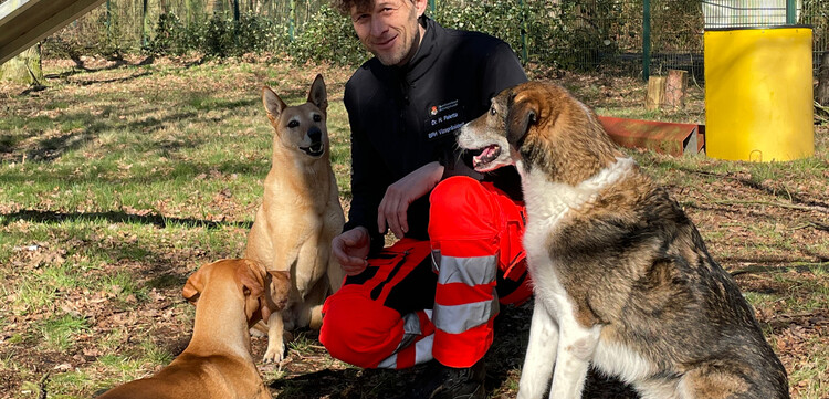 Henri Paletta vom Bundesverband Rettungshunde mit seinen Hunden auf einem Übungsplatz in NRW Henri Paletta vom Bundesverband Rettungshunde mit seinen Hunden auf einem Übungsplatz in NRW