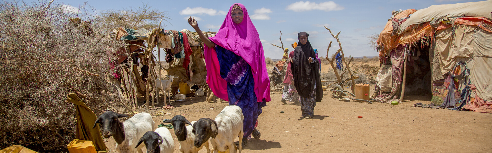 Eine Frau in Somalia hütet ihre Ziegen 