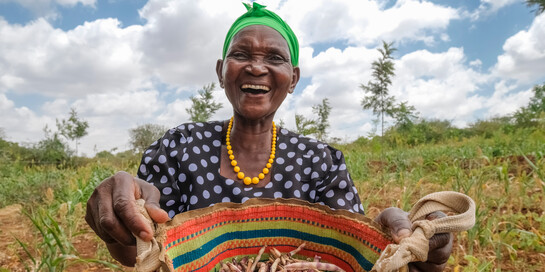 Eine Frau in Kenia trägt einen Korb mit Bohnen Eine Frau in Kenia trägt einen Korb mit Bohnen