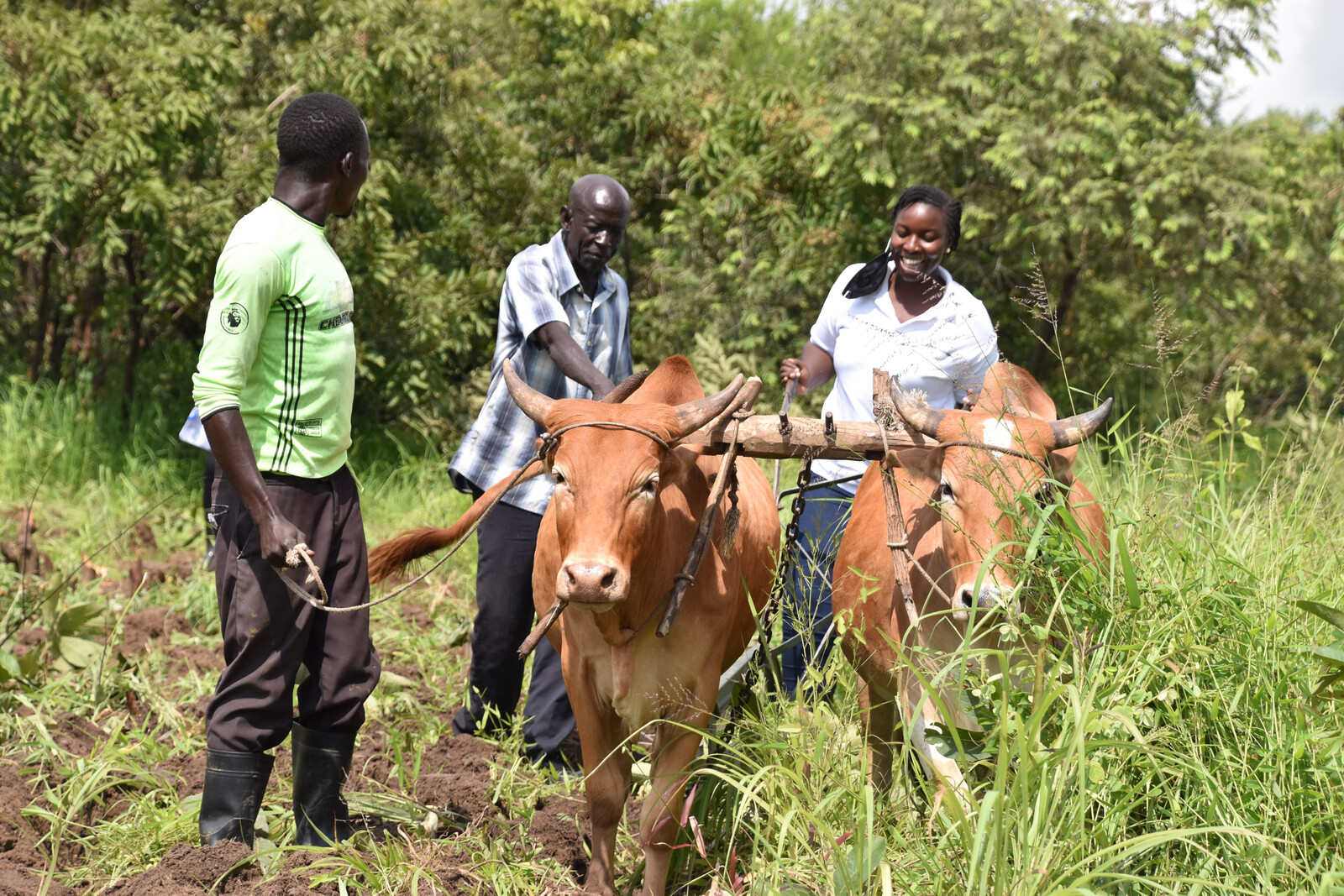Landwirt:innen in Uganda