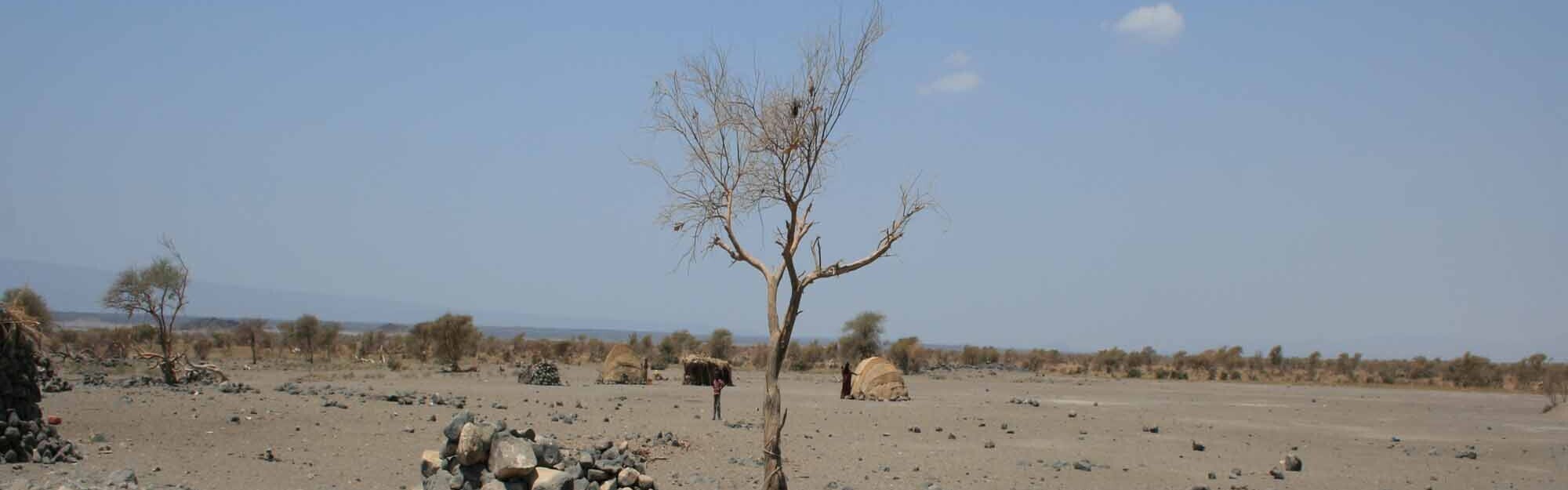 Dürre Ostafrika: Hungersnot Horn von Afrika