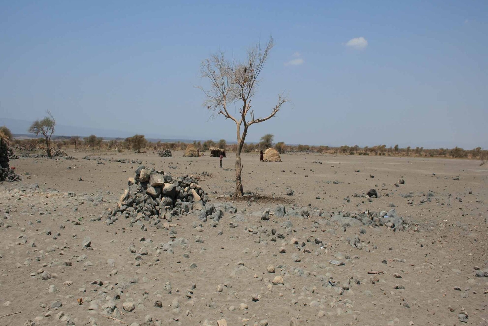 Dürre Ostafrika: Hungersnot Horn von Afrika