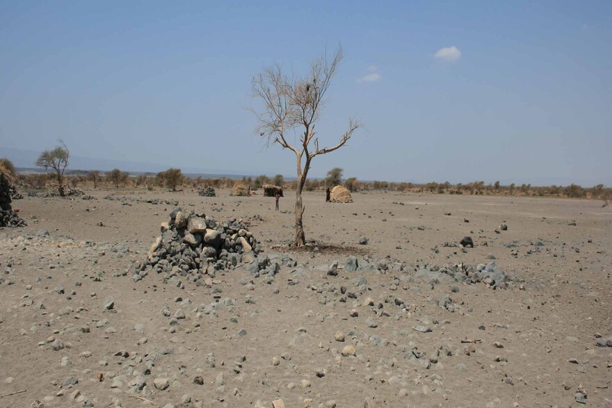 Dürre Ostafrika: Hungersnot Horn von Afrika
