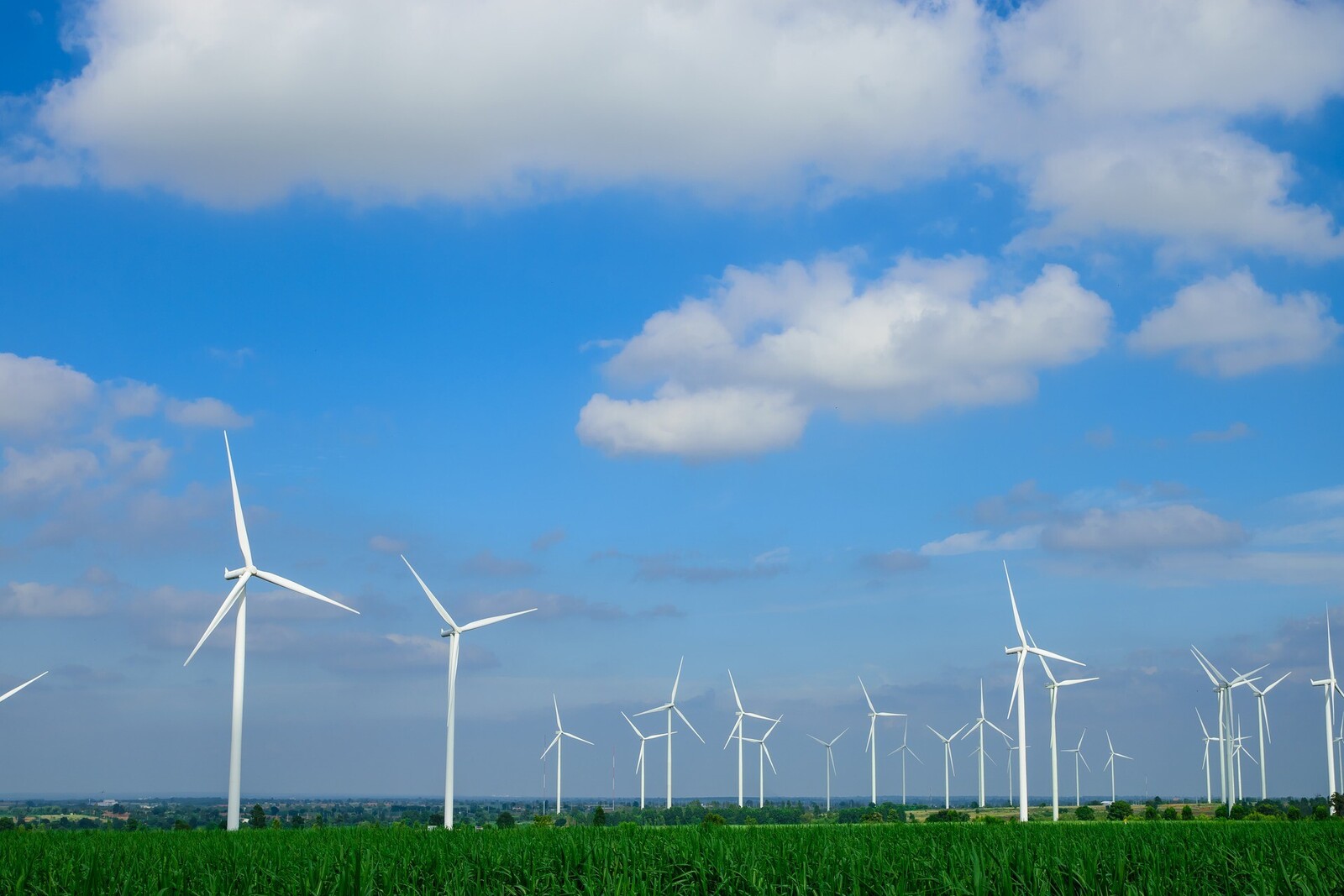 Blick auf einen Windpark auf einem Feld