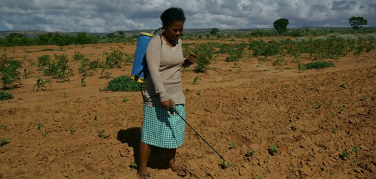 El Niño bedroht die Existenz der Landbevölkerung im Süden des afrikanischen Kontinents. Durch nachhaltiges Wassermanagement sollen Ressourcen gespart und Ernten gesichert werden.