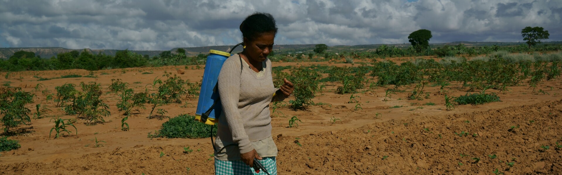 El Niño bedroht die Existenz der Landbevölkerung im Süden des afrikanischen Kontinents. Durch nachhaltiges Wassermanagement sollen Ressourcen gespart und Ernten gesichert werden.