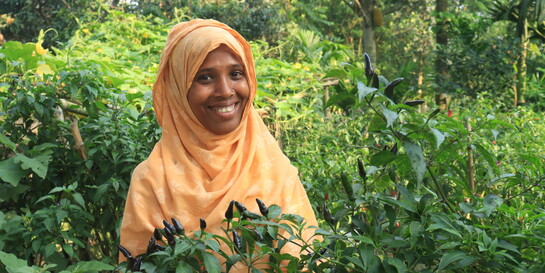 In Bangladesch haben Frauen eine neue Einkommensquelle entdeckt