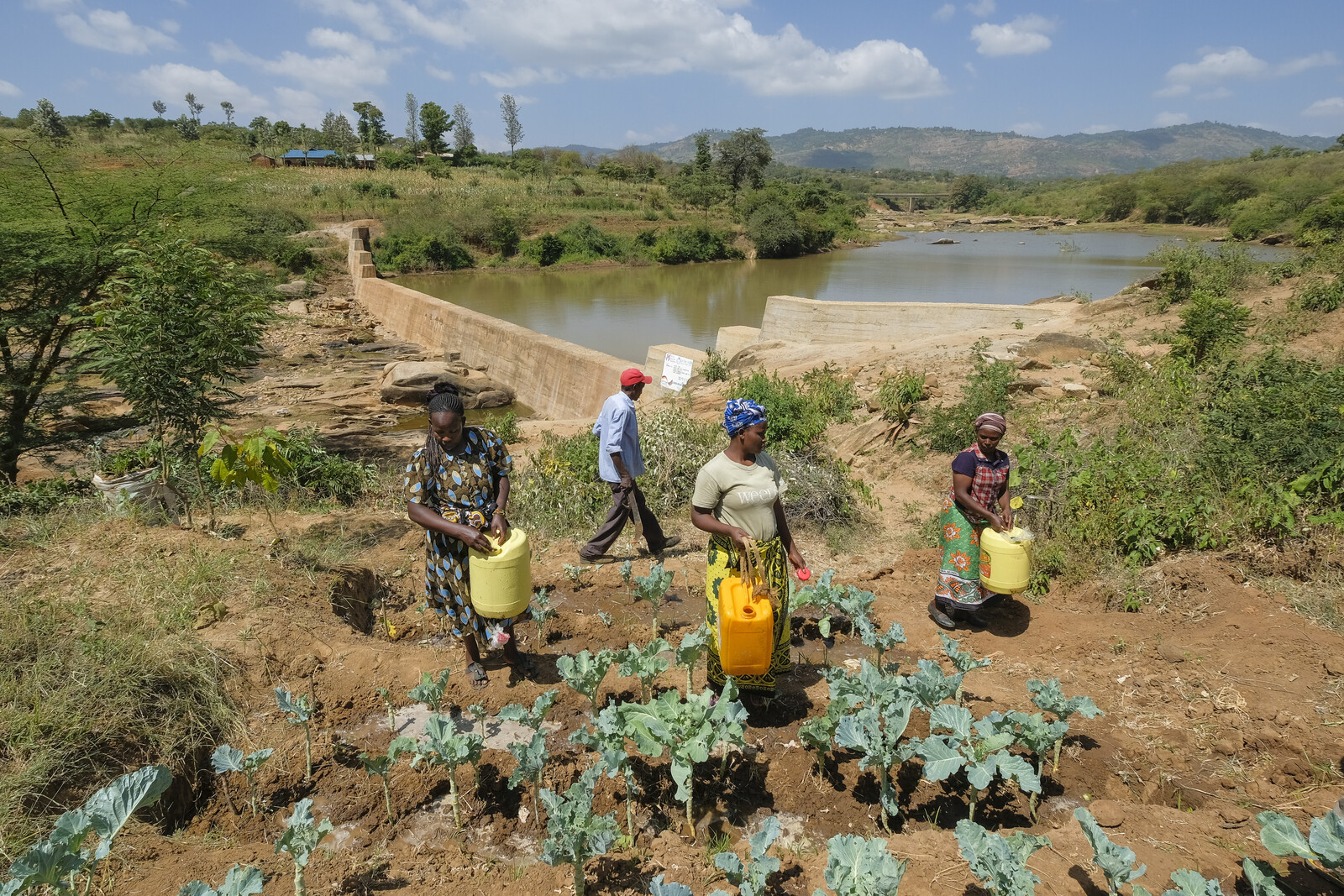 Hilfsprojekt in Kenia: Bau eines Damms verbessert Wasserversorgung der Menschen