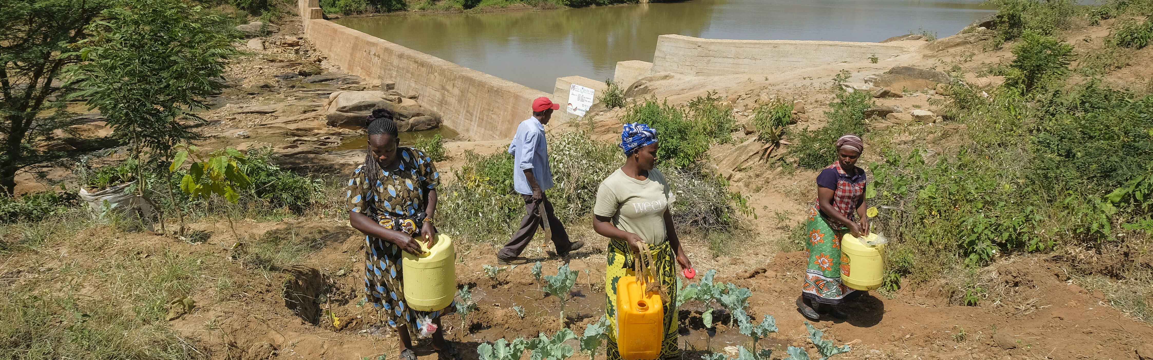 Hilfsprojekt in Kenia: Bau eines Damms verbessert Wasserversorgung der Menschen