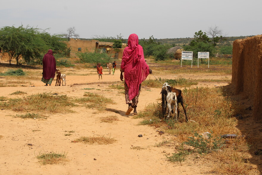 Zwei Frauen und Ziegen im Niger