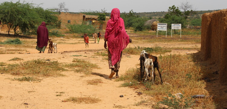 Zwei Frauen und Ziegen im Niger
