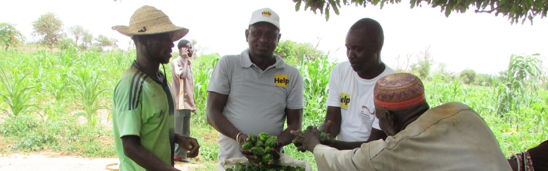 Paprikaernte in Burkina Faso © Help – Hilfe zur Selbsthilfe