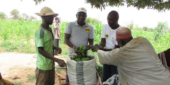 Paprikaernte in Burkina Faso
