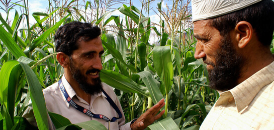Pakistan Überschwemmungen Feldarbeit
