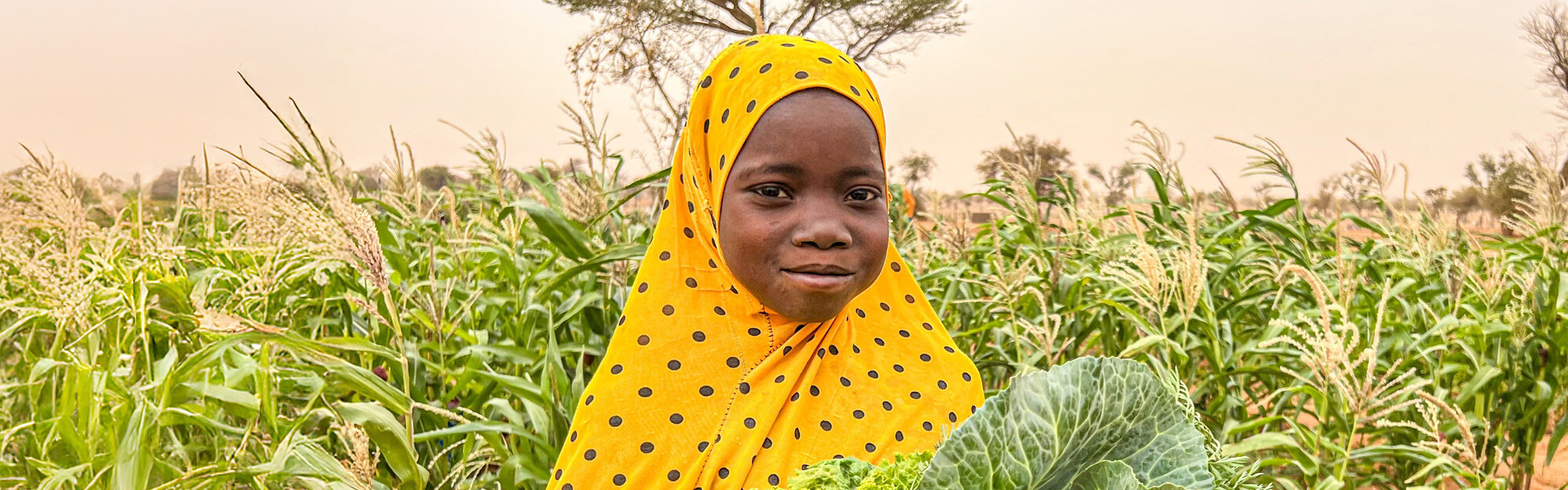 Mädchen im Feld mit Erntekorb Mädchen im Feld mit Erntekorb