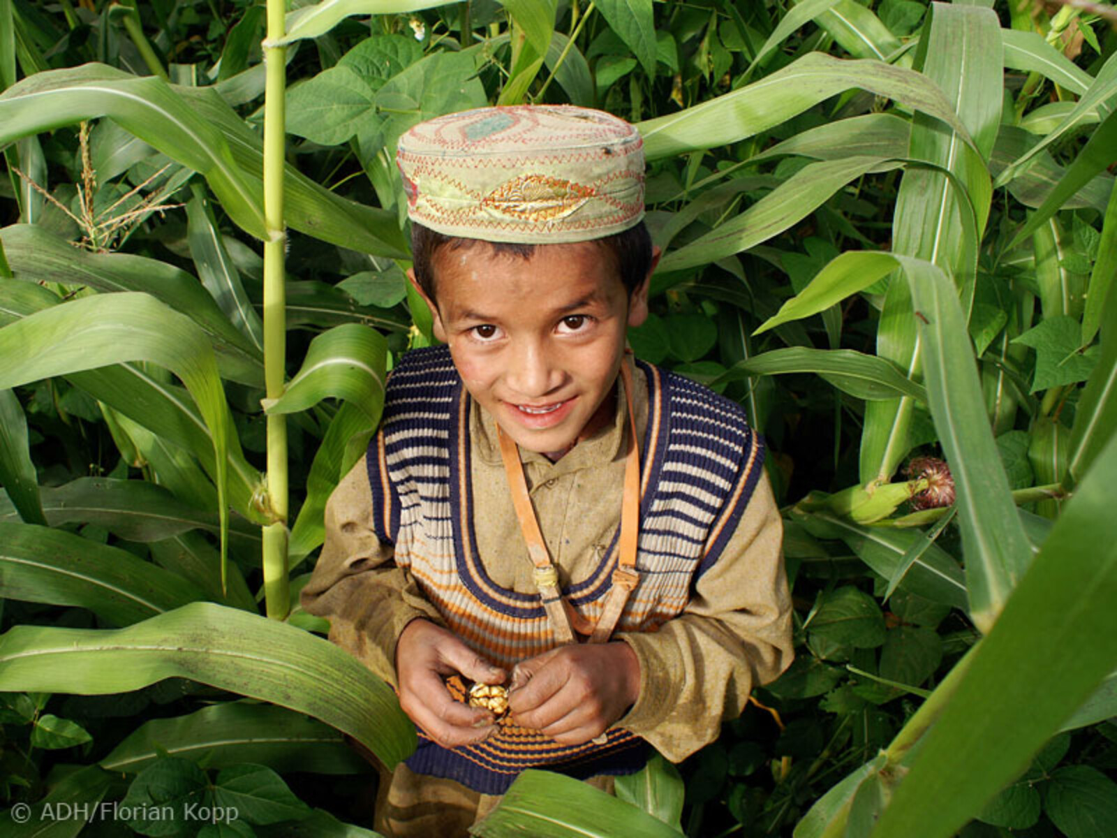 Ein kleiner Junge im Maisfeld