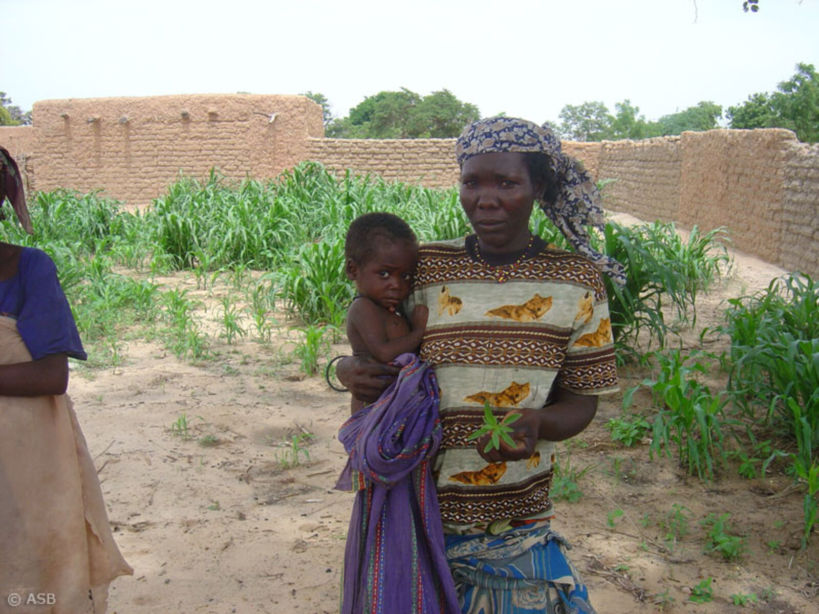 Der ausbleibende Regen hat in vielen Regionen in Westafrika/Sahel zu Ernteausfällen geführt.