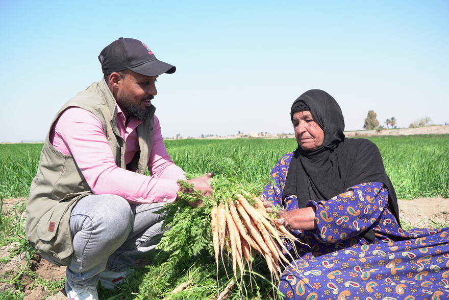 Ein Mann und eine Frau bei der Arbeit auf einem Feld in Syrien, sie halten frisch geerntete Möhren in den Händen