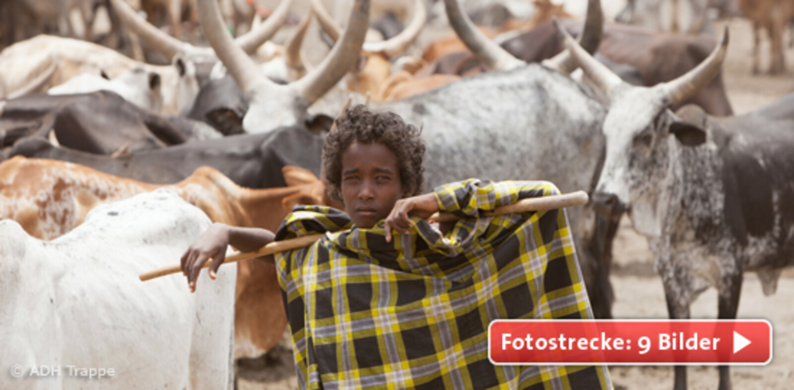 Junger Hirte vor seiner Viehherde in Äthiopien