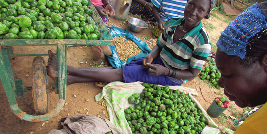 Frauen in Burkina Faso mit frischem Gemüse aus eigenem Anbau