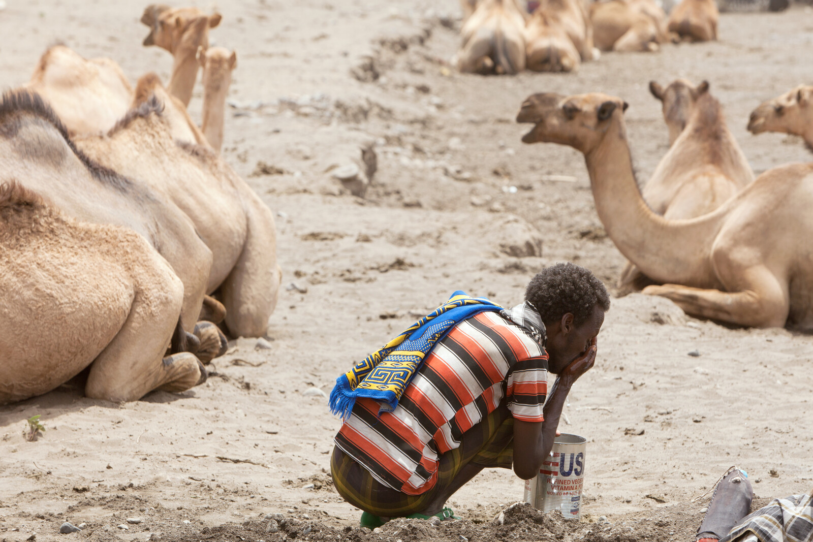 Ein Mann trinkt von dem wenigen Wasser, dass er für den langen Tag auf der Weide zur Verfügung hat. Die Dürre in Westafrika bedroht viele Viehhirten.