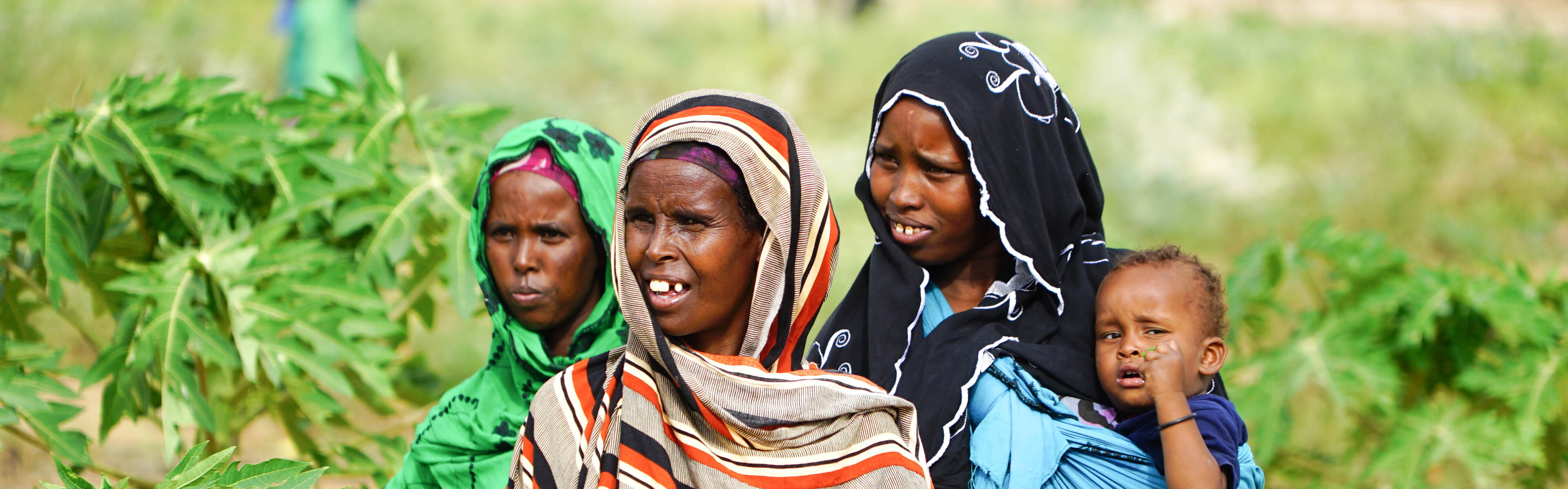 World Vision baut die Tröpfchenbewässerung in Somalia aus, damit Wasser gespart wird. So können ehemalige Viehnomaden vom Ackerbau leben.