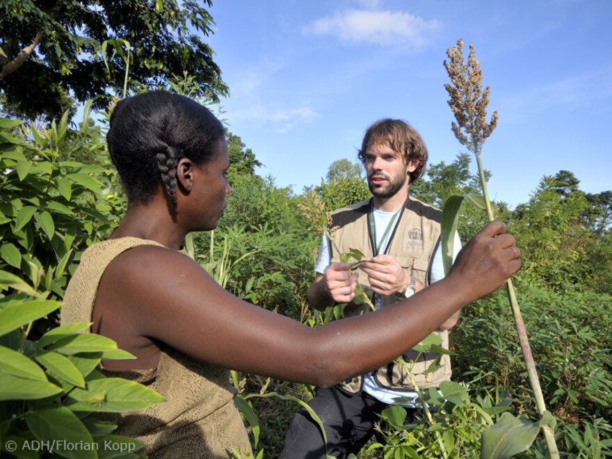 In einem Landwirtschaftsprojekt in Haiti