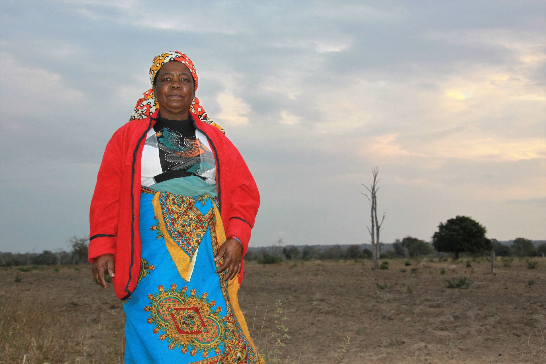 Eine Frau steht auf dem trockenem Feld in Simbabwe während der Dürre- und Hungerkatastrophe durch die Auswirkungen des El Niño.