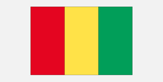 Die Flagge von Guinea