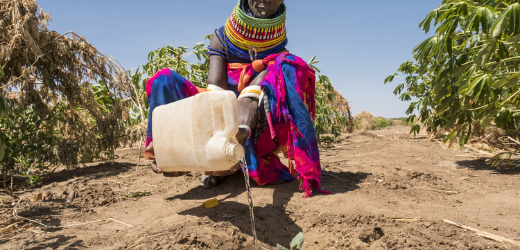 Eine Frau in einer Dürreregion in Afrika bei der Landwirtschaft Eine Frau in einer Dürreregion in Afrika bei der Landwirtschaft