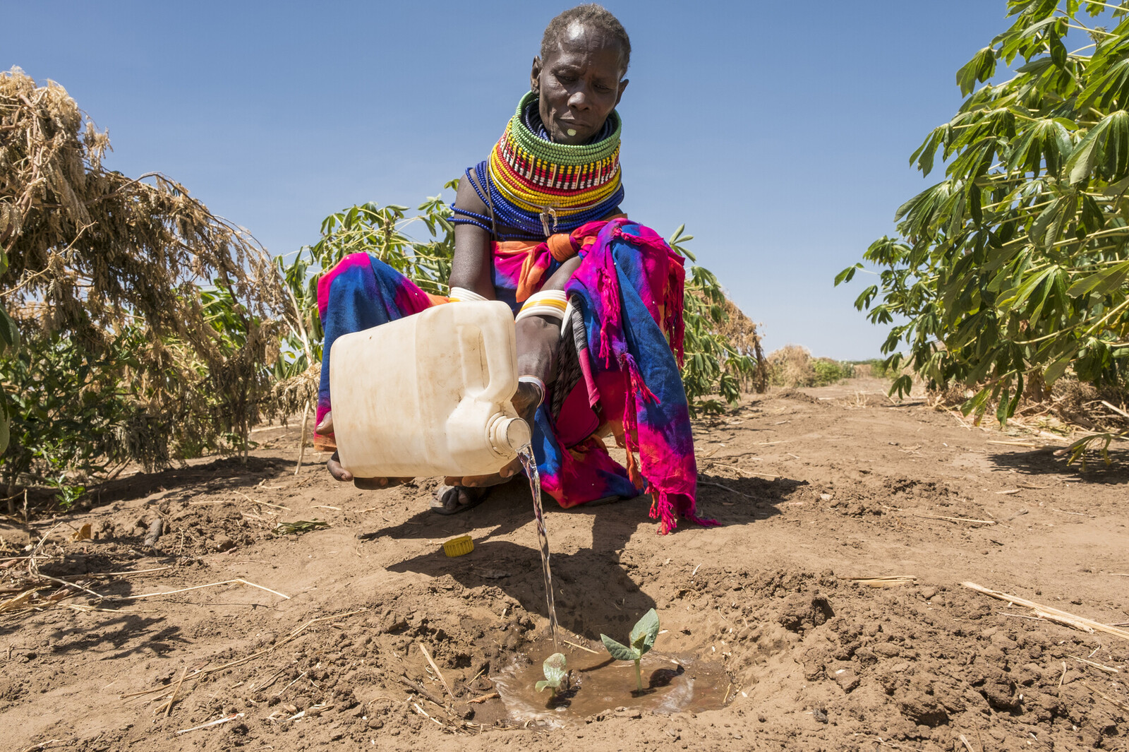 Eine Frau in einer Dürreregion in Afrika bei der Landwirtschaft 