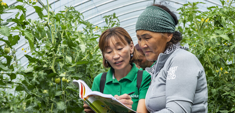 Hilfsprojekt von ADRA in der Mongolei