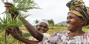 Frauen bei einem Hilfsprojekt von arche noVa