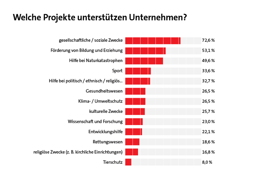 Welche Projekte unterstützen Unternehmen?