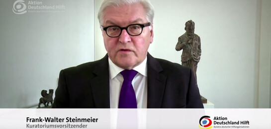 Frank Walter Steinmeier steht in einem Raum mit einer Willy Brandt Statue.