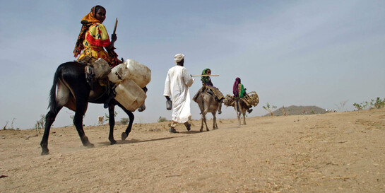 Menschen im Sudan fliehen auf Eseln vor der Gewalt und dem Hunger im Land