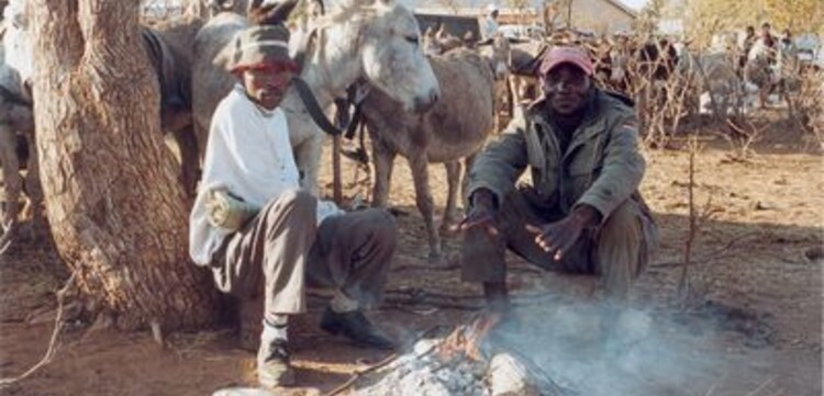 Cholera Simbabwe: Feuerstelle
