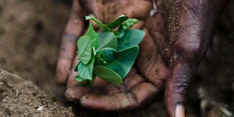 Hand in Hand: Eine Spende, doppelte Kraft. Hand in Hand: Eine Spende, doppelte Kraft.