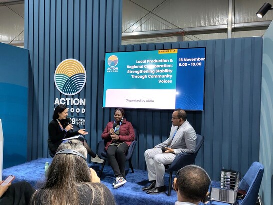 Panel von ADRA auf der COP29