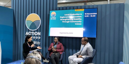 Panel von ADRA auf der COP29