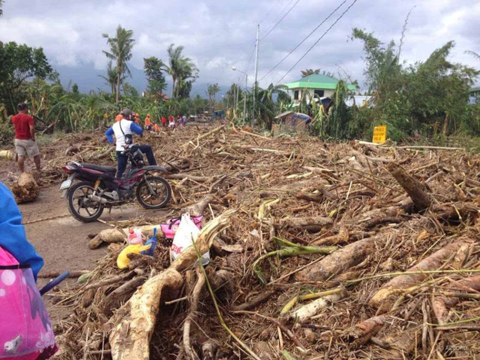 Während viele Häuser und Unterkünfte Taifun Hagupit standhielten, wurden Bäume entwurzelt und Straßen zeitweise unpassierbar.