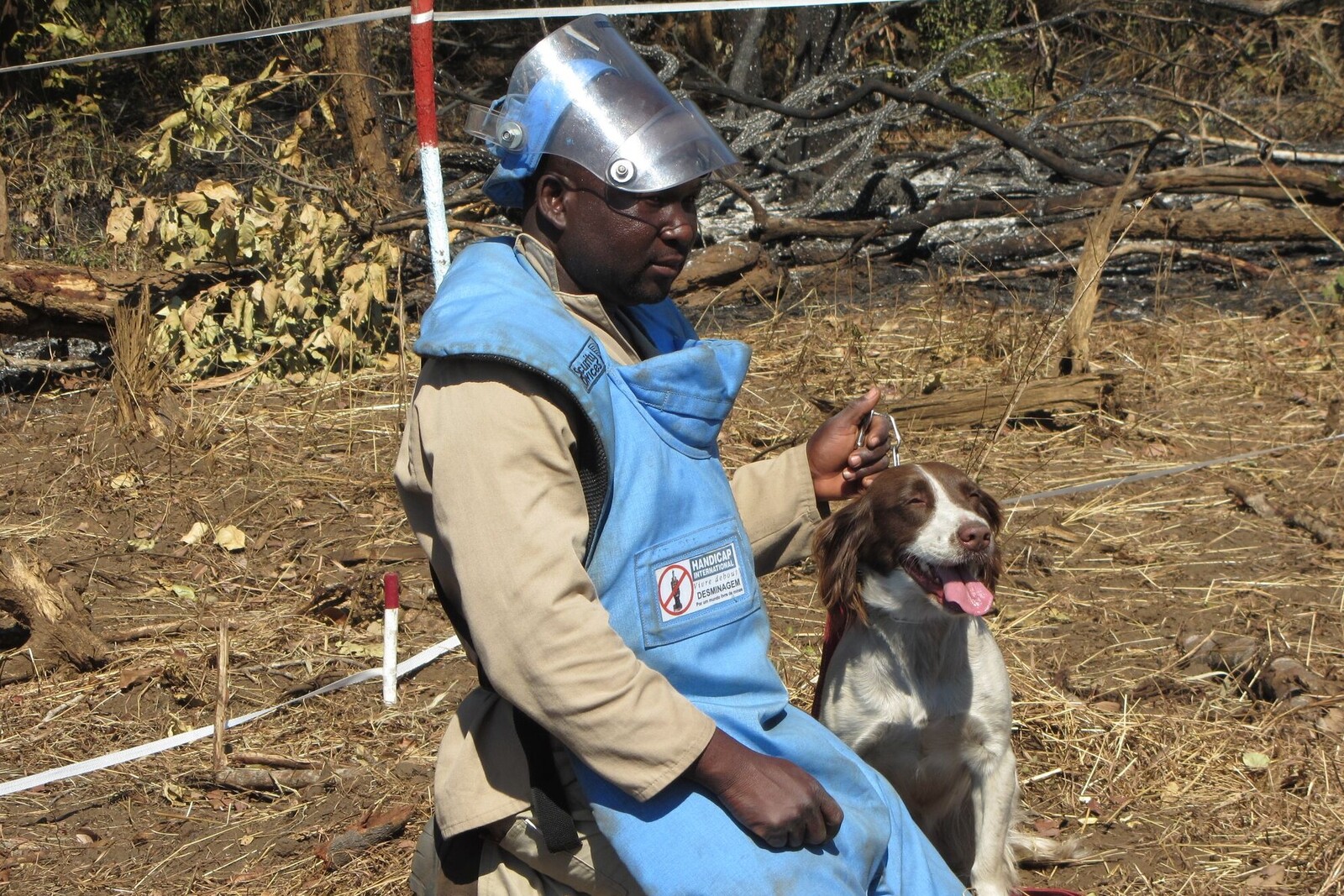 Ein Mann im Kongo trainiert einen Hund in der Suche nach Antipersonenminen