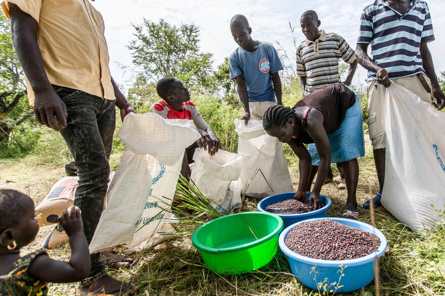 In einem Flüchtlingscamp in Uganda wird Nahrung verteilt. In einem Flüchtlingscamp in Uganda wird Nahrung verteilt.