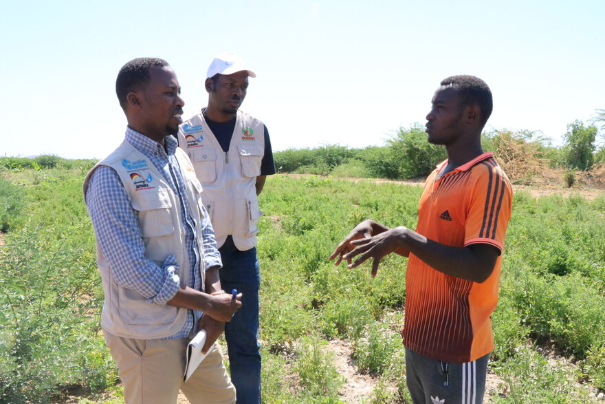 Helfer mit einem Landwirt, der von der Heuschreckenplage in Somalia betroffen ist Helfer mit einem Landwirt, der von der Heuschreckenplage in Somalia betroffen ist