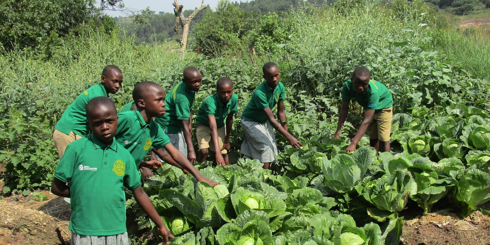 Kinder in Uganda lernen in einem Schulprojekt, wie Obst und Gemüse angebaut wird Kinder in Uganda lernen in einem Schulprojekt, wie Obst und Gemüse angebaut wird