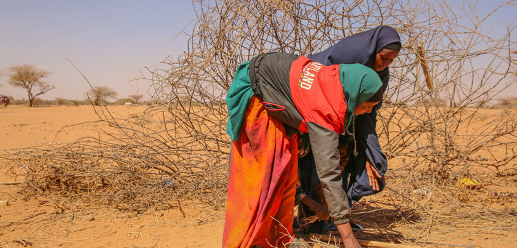 Frauen in Somalia sammeln Holz in der trockenen Landschaft. Frauen in Somalia sammeln Holz in der trockenen Landschaft.
